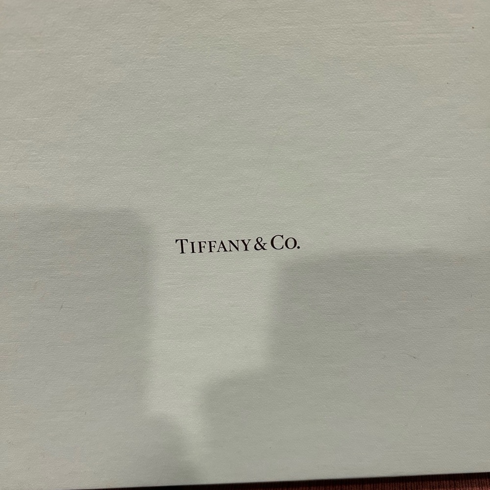 Tiffany and Co Reversible suede and leather bag. Excellent pre owned condition.